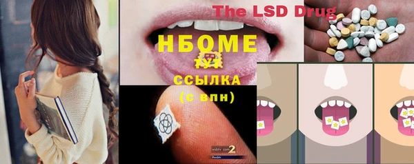 индика Аркадак