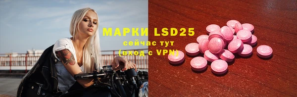 индика Аркадак