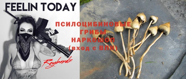 PSILOCYBIN Армянск