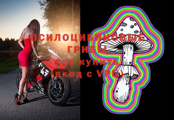 гидра Балахна
