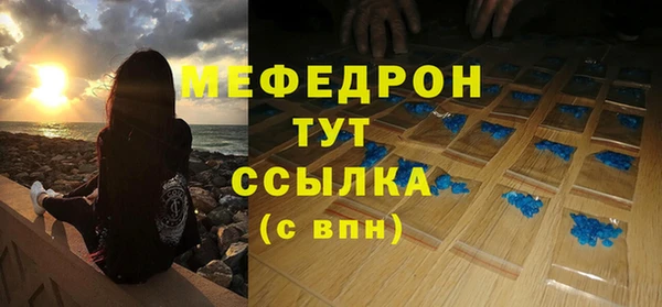 индика Аркадак