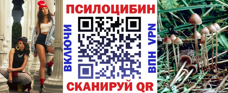 Псилоцибиновые грибы Psilocybine cubensis  Белинский 